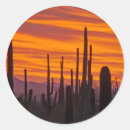 Search for saguaro national park stickers Landscape