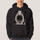 Search for border collie hoodies Puppies