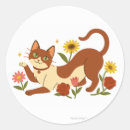 Search for daisy stickers Cat