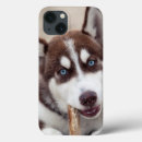 Search for snow ipad cases Alaskan dog