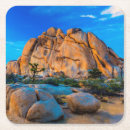 Search for joshua coasters Mojave desert