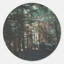 Search for wood stickers Autumn