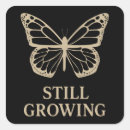 Search for love butterflies stickers Butterfly