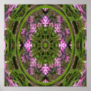 Search for doily posters Floral