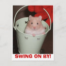Search for hamsters postcards Pets