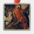 Search for macaw christmas tree decorations Exotic