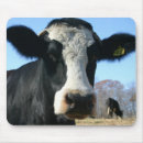 Search for funny cow mousepads Farm