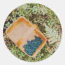 Search for wild blueberries stickers Blueberry