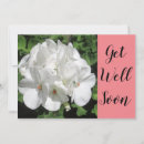 Search for get photography Get well soon