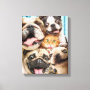 Search for dog jokes art Cute