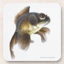 Search for two sided coasters Full length
