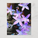 Search for stunning birthday cards Garden