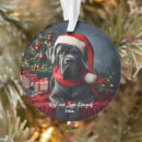 Search for cane corso christmas tree decorations Puppy