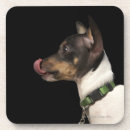 Search for rat barware Dog