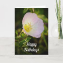 Search for primrose cards Pink