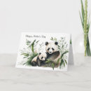 Search for black and white panda cards Wildlife