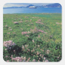 Search for north island stickers Environment