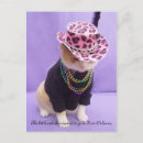 Search for cajun Mardi gras