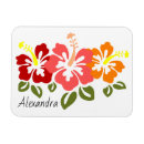 Search for hibiscus magnets Pink