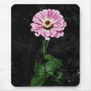 Search for impression electronics Pink