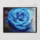 Search for drop of water postcards Petals