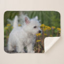 Search for west highland terrier blankets Puppy