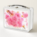 Search for cherry blossom lunch boxes Sakura