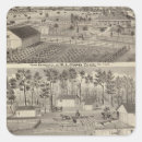 Search for lumber stickers Lithographed