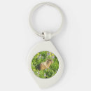 Search for marmot key rings Nature