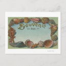 Search for etc postcards From