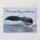Search for whaling postcards California