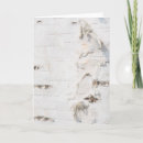 Search for birch bark cards Forest