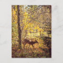 Search for mont tremblant postcards Canada
