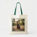 Search for meerkats bags Baby