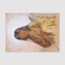 Search for native american tissue paper Decoupage