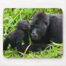 Search for gorilla mousepads Wildlife