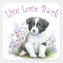 Search for border collies stickers Cute