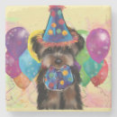 Search for poo barware Yorkie