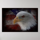 Search for american eagle posters Patriotic