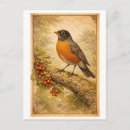 Search for american illustrators postcards Vintage
