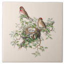 Search for bird nest tiles Birds