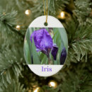 Search for iris christmas tree decorations Flowers