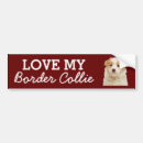 Search for collie dog bumper stickers Dogs