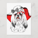 Search for yorky postcards Cute