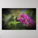 Search for the bees posters Flower