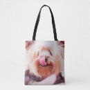Search for cute dog bags Cool