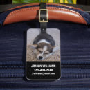 Search for corgi luggage tags Canine