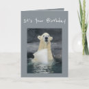 Search for polar bear birthday cards Funny