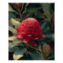 Search for vintage botany posters Floral illustration