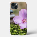 Search for meditation cases Ocean